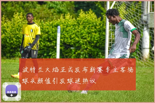 波特兰火焰正式发布新赛季主客场球衣颜值引发球迷热议
