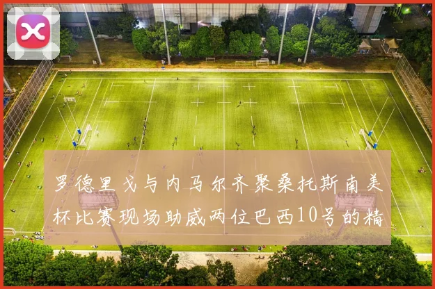 罗德里戈与内马尔齐聚桑托斯南美杯比赛现场助威两位巴西10号的精彩时刻